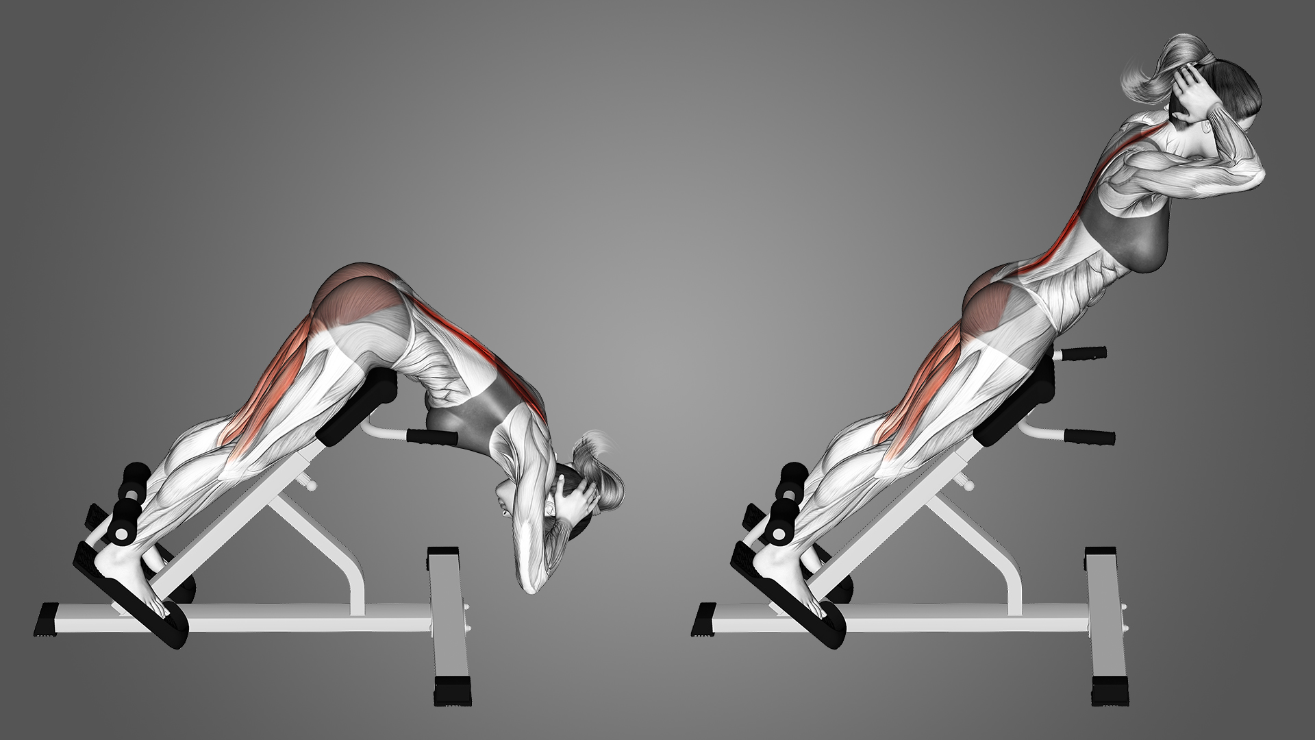 Manfaat Hyperextension Bench untuk Kekuatan Inti dan Punggung Anda