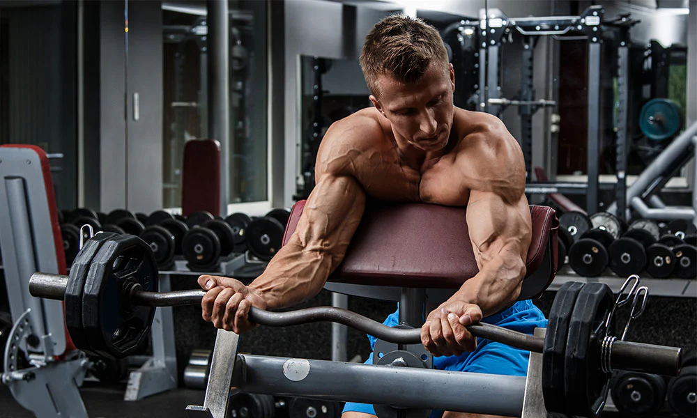 Cara Menggunakan Preacher Curl Bench untuk Hasil Biceps Maksimal